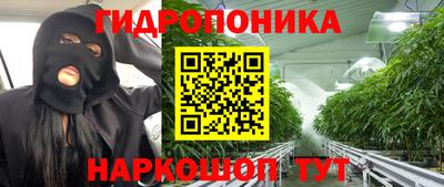 индика Ирбит