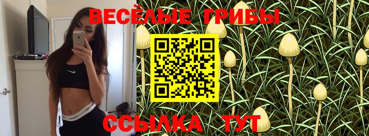 Луга  Галлюциногенные грибы Psilocybe  Вход с VPN 