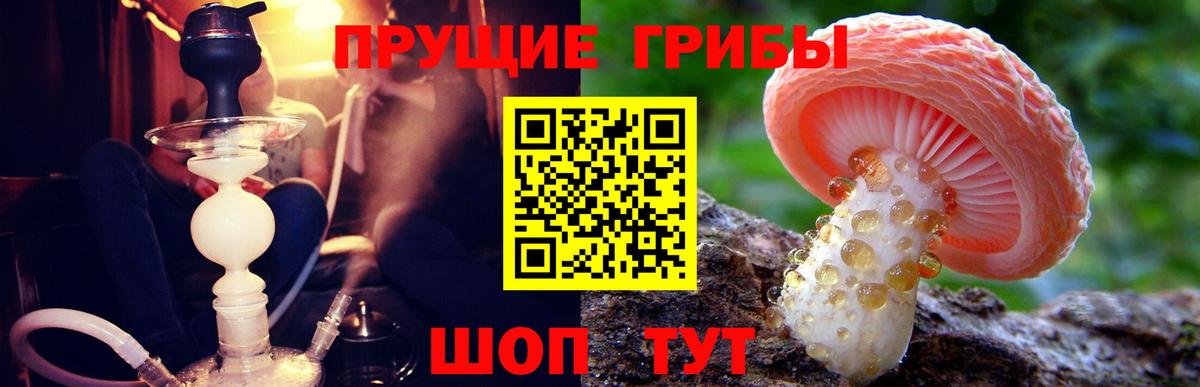 COCAIN  МЕФ   Канабис  Метадон  Вход с VPN  Луга  Купить наркотики цена  ГАШ 
